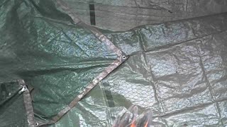 Canadian Culling - How Canada and the World Already Lost