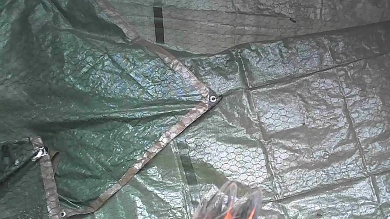 Canadian Culling - How Canada and the World Already Lost