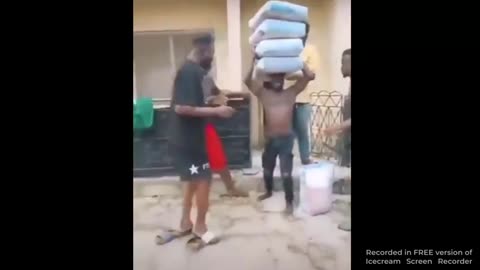 LOOK HOW STUPID NIGGERS ARE! 😂🤣😂🐒🐒🐒🐒