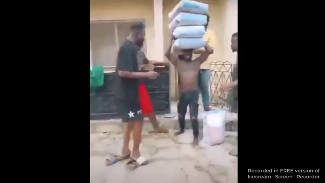 LOOK HOW STUPID NIGGERS ARE! 😂🤣😂🐒🐒🐒🐒