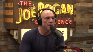 Joe Rogan Experience #2284 - Ian Carroll