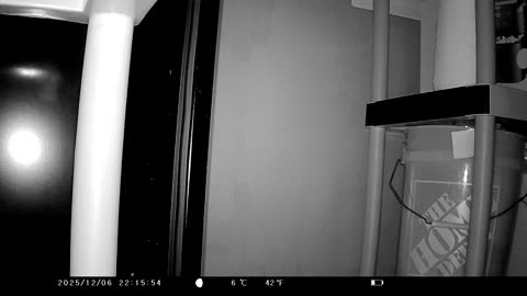 Cookie Cutter The Cat Investigates Camera, Filmed By KJK Trail Camera, 36MP 2.7K, Dbn, MI, 12/6/25