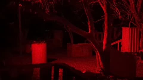Night paintball