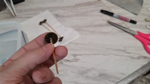 Video 3 - How to swab Pans