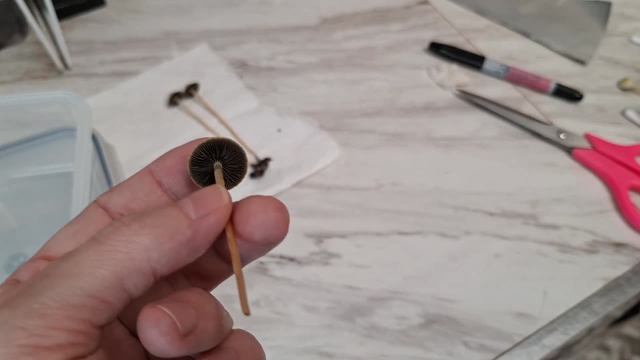 Video 3 - How to swab Pans