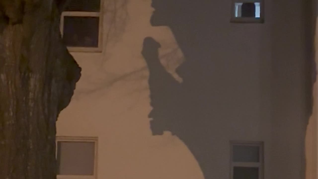 Tree Shadow Looks Like Nefarious Person