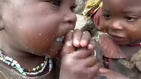 Chewing On Beak