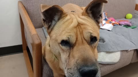 VID_20251102_144657480