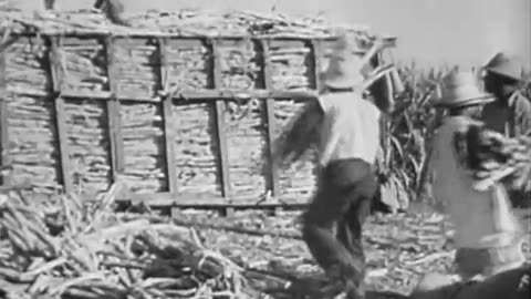 [SIEMPRE LISTO, PART 3.(ALWAY... - [SIEMPRE LISTO, PART 3.(ALWAYS READY)]. [ON THE JOB] - fc-fc-4646