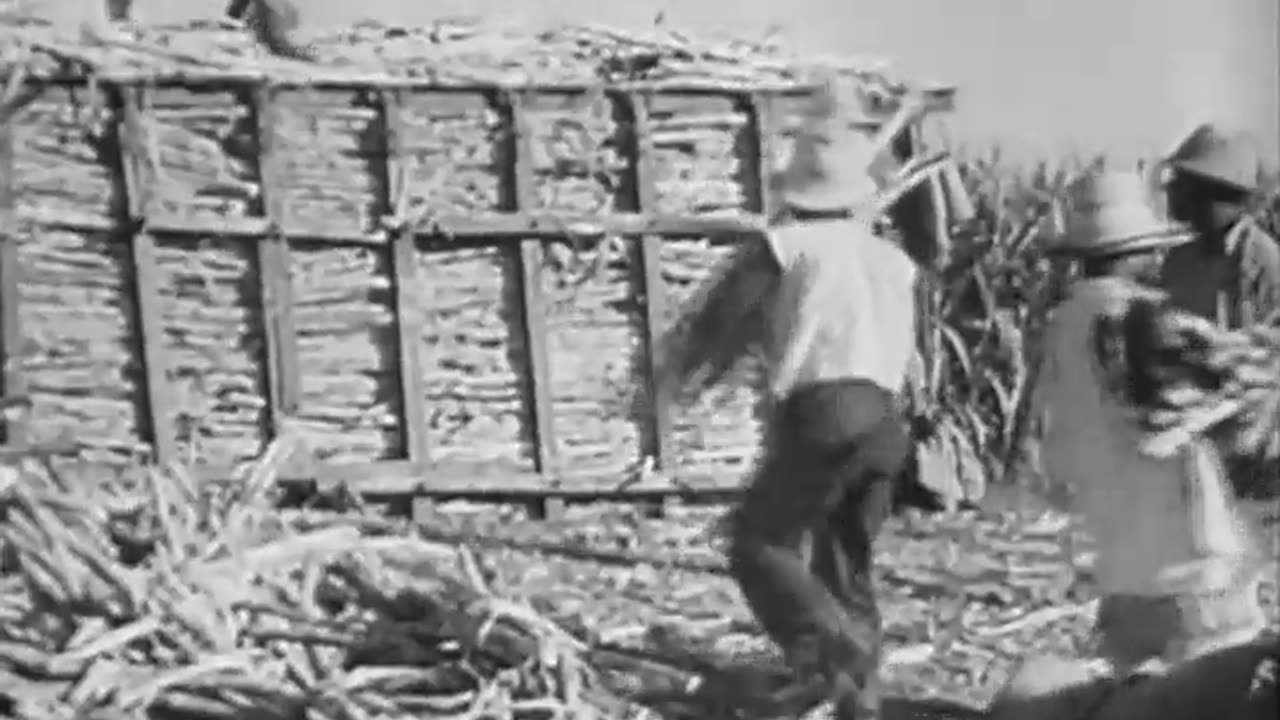 [SIEMPRE LISTO, PART 3.(ALWAY... - [SIEMPRE LISTO, PART 3.(ALWAYS READY)]. [ON THE JOB] - fc-fc-4646