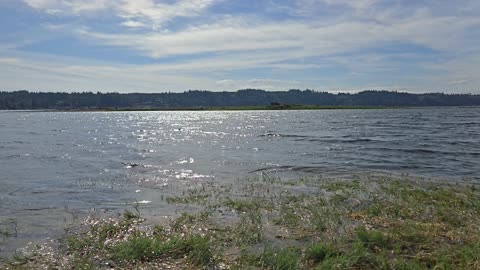 Light wind and waves