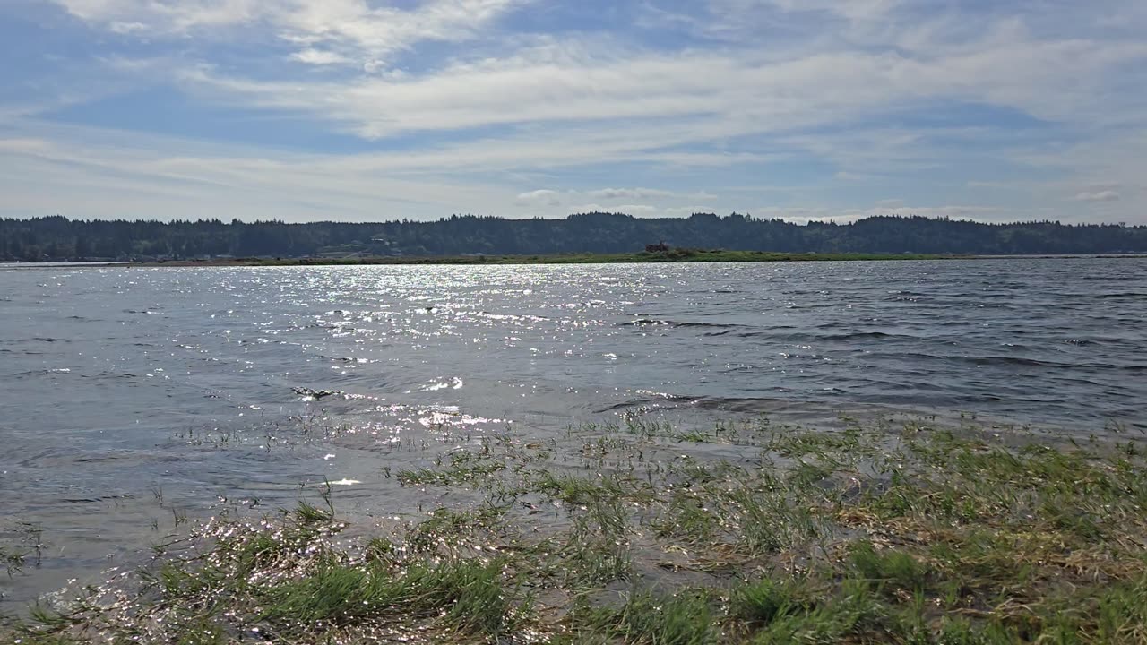 Light wind and waves