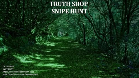 The Newest Music from Truth Shop "Snipe Hunt"