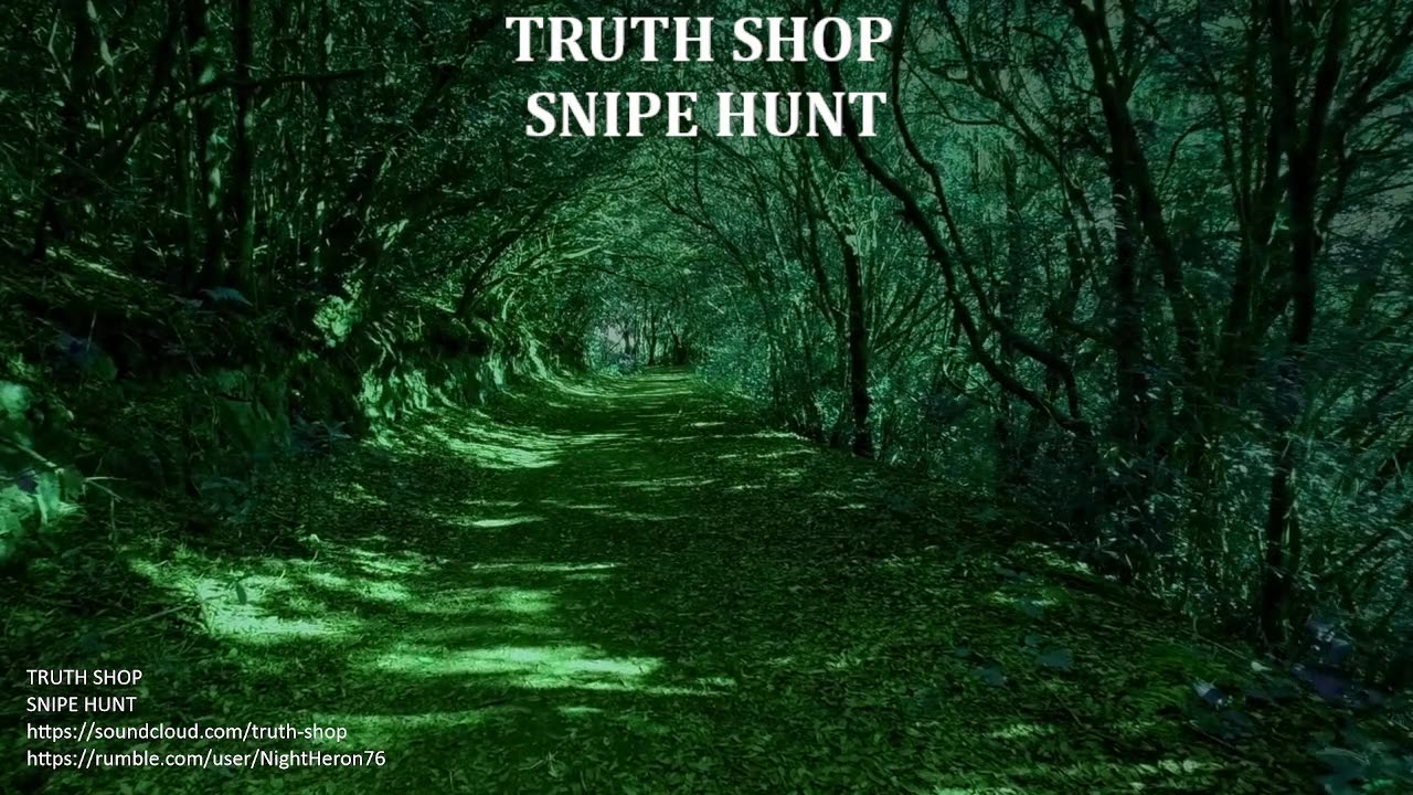 The Newest Music from Truth Shop "Snipe Hunt"