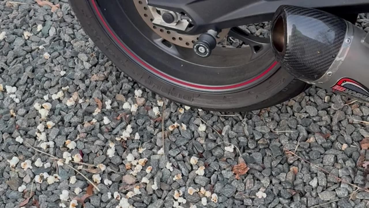 Motorcycle Pops Corn Kernels Hidden By Animals