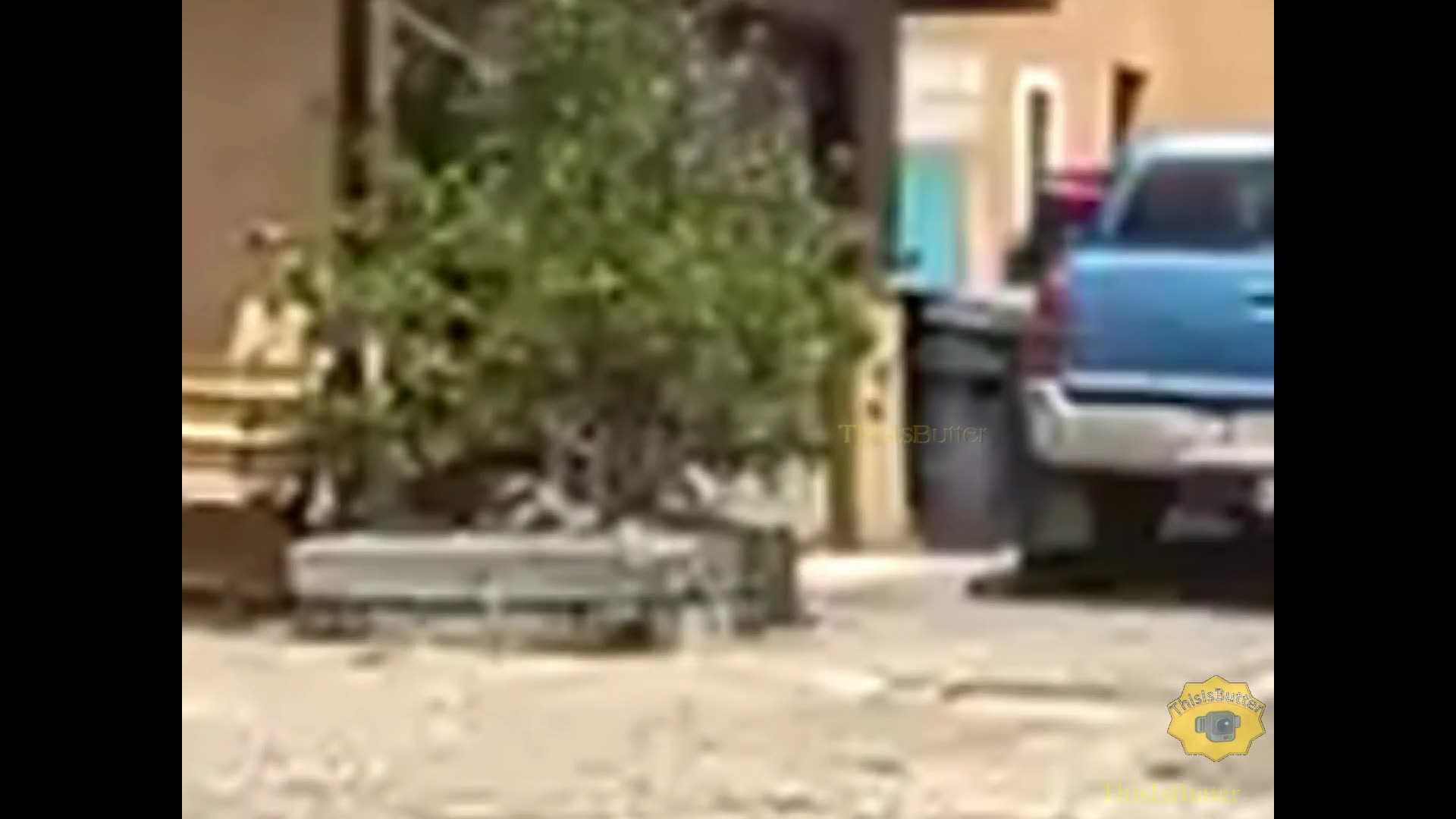 Albuquerque bodycam shows officer firing off one round, killing armed suspect in front of home