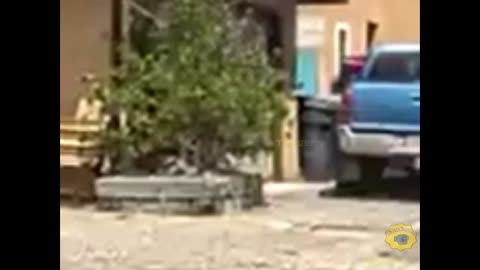 Albuquerque bodycam shows officer firing off one round, killing armed suspect in front of home