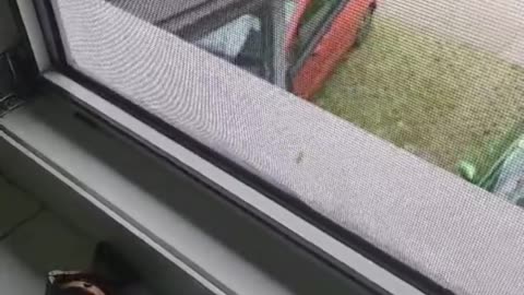 😱🌳 Eerie Stadium Sounds in the Forest? | TheHauntingHour