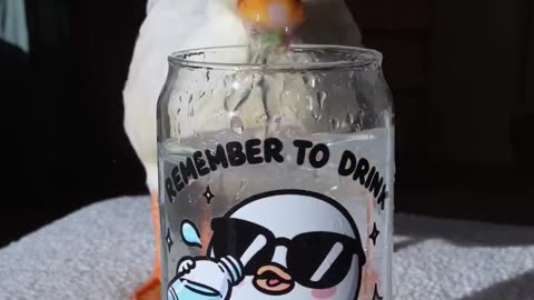 No, don't touch the cup just put the peas in NOW