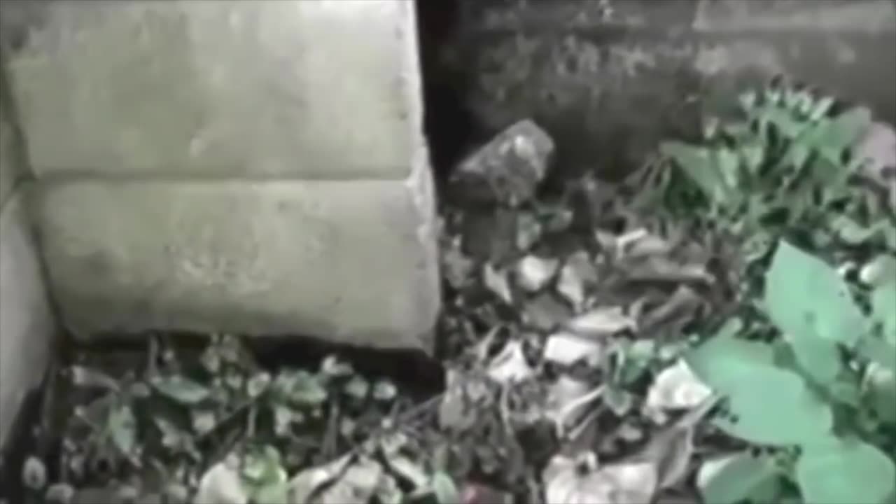 TOP 10 LITTLE PEOPLE CAUGHT ON TAPE