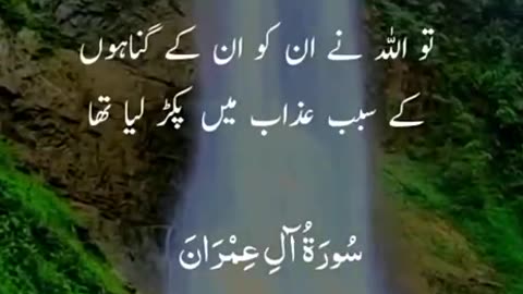 Beshak 💯☝️🕋