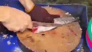 How to Clean an Eel Like a Pro! 🐍🐟 Traditional Method Revealed