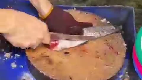 How to Clean an Eel Like a Pro! 🐍🐟 Traditional Method Revealed