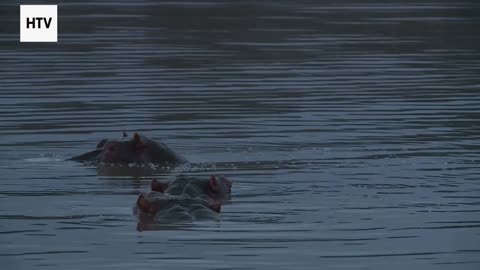 Green Packing Hacks for Every Trip