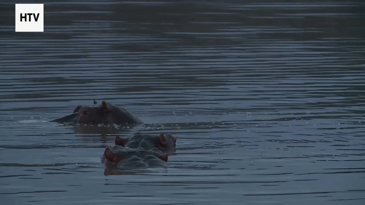 Green Packing Hacks for Every Trip