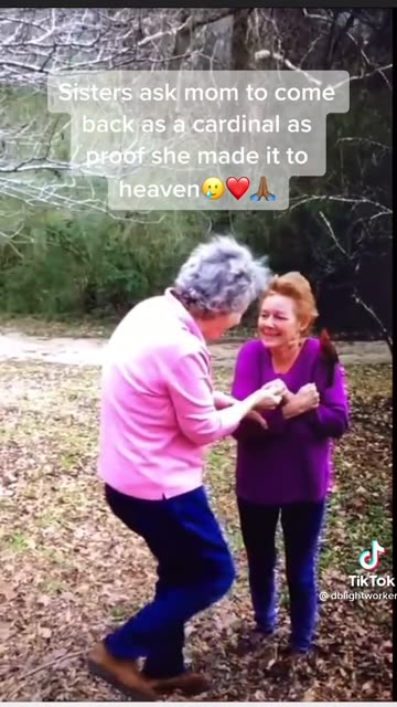 The System Doesn’t Want You to Know ThiS