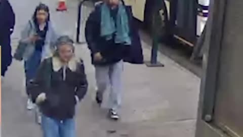 Police Arrest Assailant Who Assaulted NYC Student