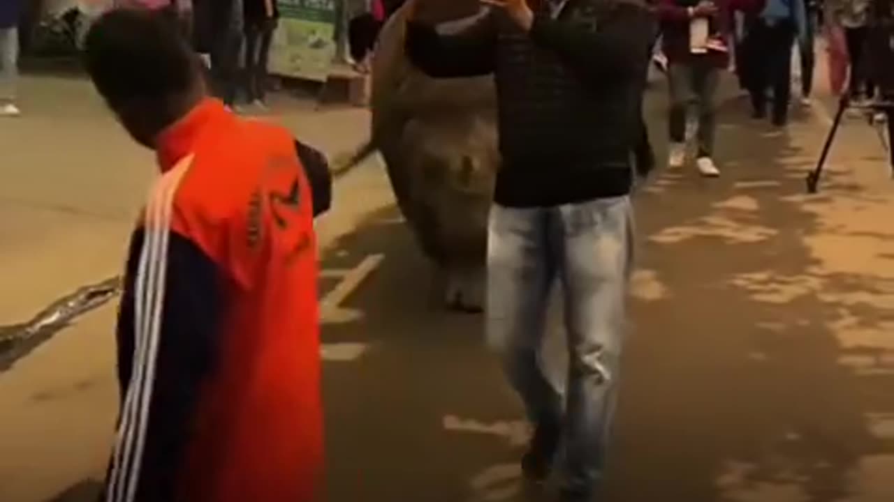 🦏✨ You Won't Believe This Rhino's Freedom! Roaming Wild in Chitwan Nepal | FeedMyCuriosity