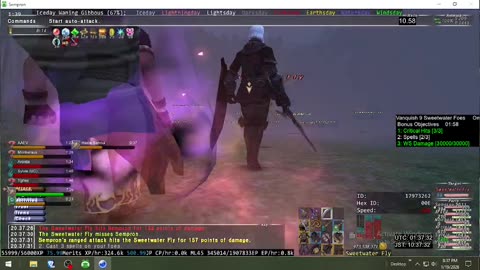 Playing Final Fantasy XI Online