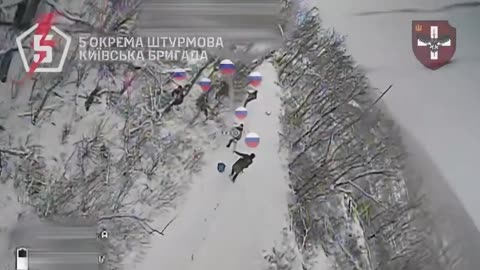 Large Group of Russian Soldiers Come Under Attack by Ukrainian Drones