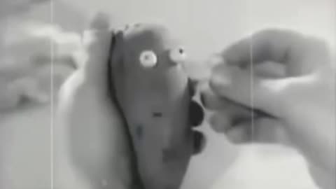The 1952 Mr. & Mrs. Potato Head ad was the very first toy commercial on TV.