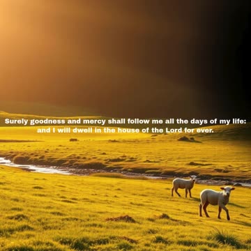 The Shepherd Who Walks With You