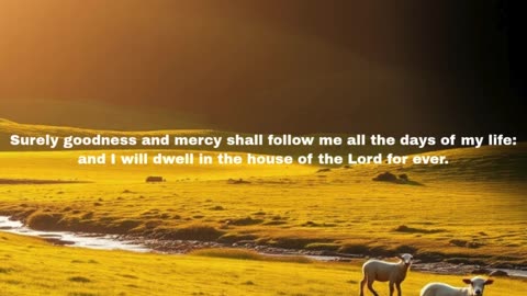 The Shepherd Who Walks With You