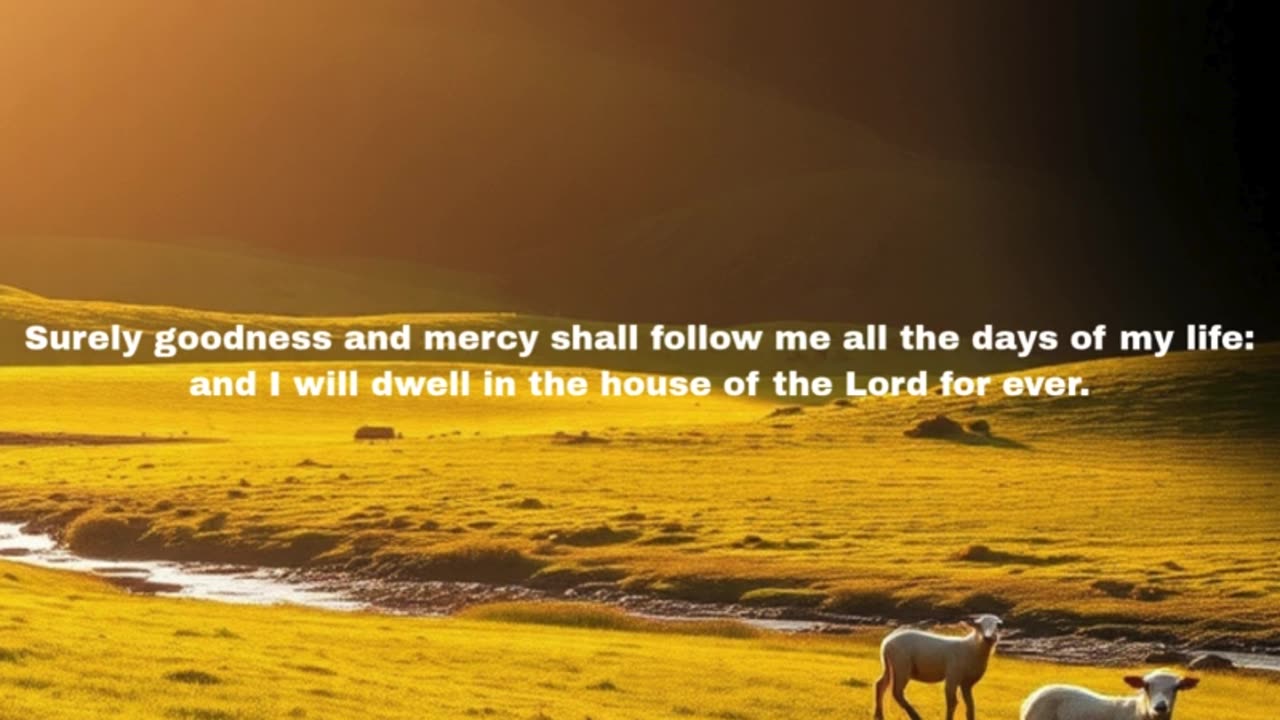 The Shepherd Who Walks With You