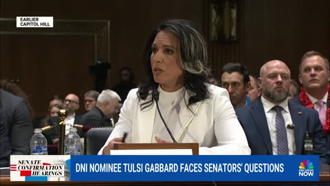 Tulsi GABBARD questioned on international affairs and intelligence issues at hearing