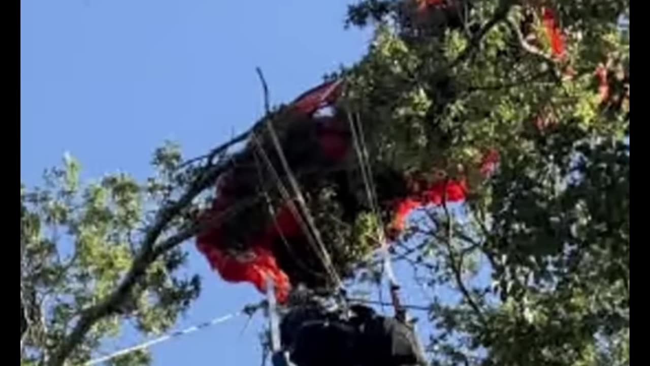 Skydiving Accident in Tennessee Leaves Instructor Dead, Another Man Stuck in Tree