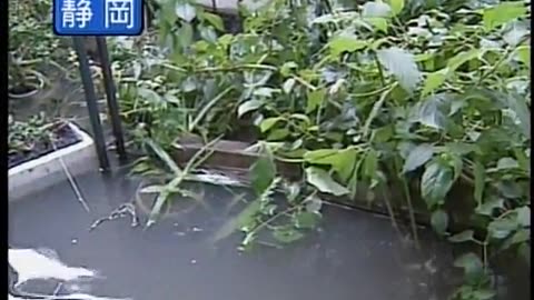 Japan NHK September 11, 2001 1000am-1030am JST