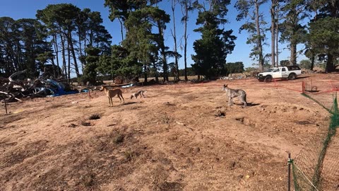 2024 kits first look Part 1