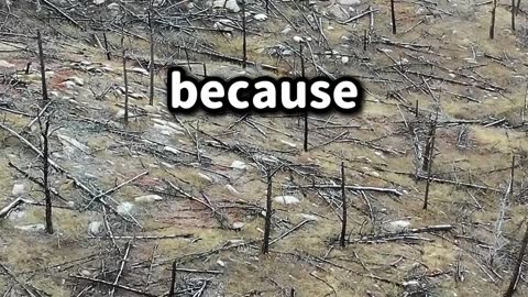 This is the BIGGEST LIE Guitar Companies Tell You