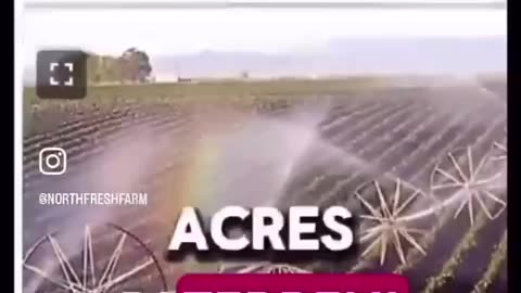 "This is an act of war against humanity."