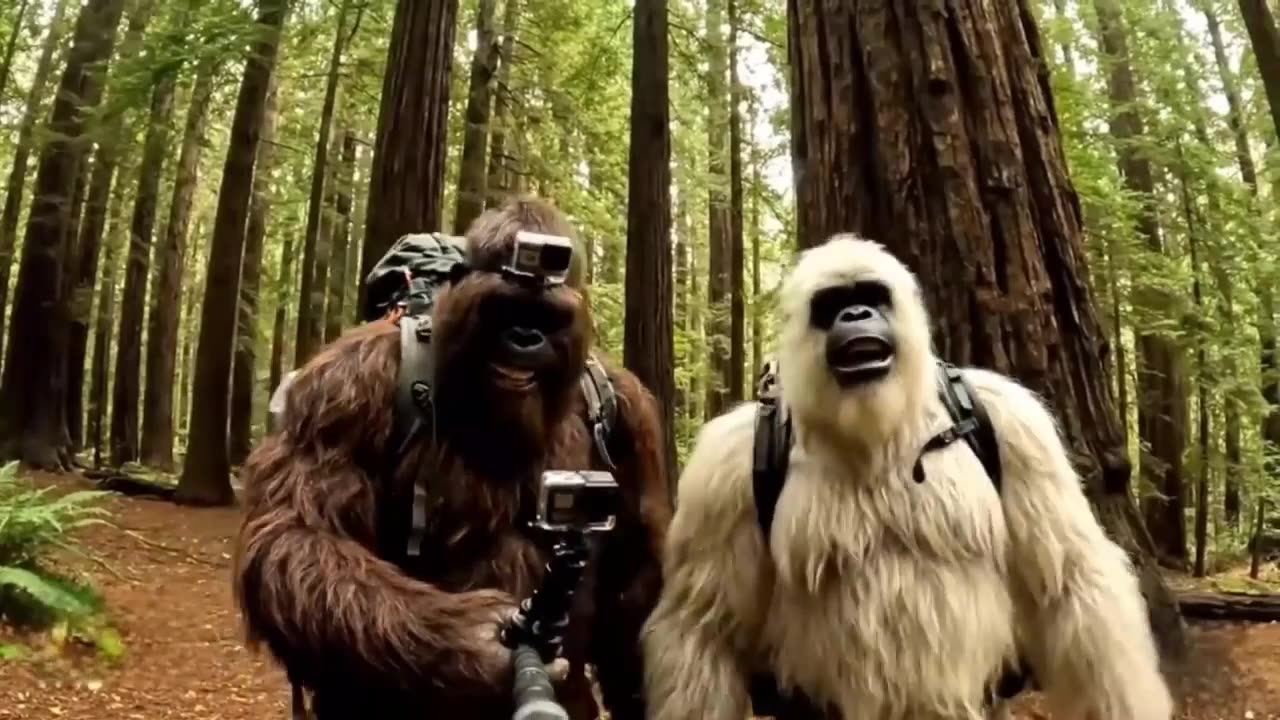Bigfoot Vlog: PART 2 Real Encounters Caught on Camera!