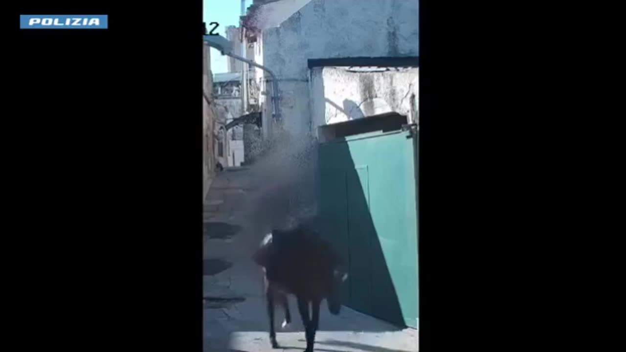 Arresto di Dieci Persone in Operazione Antidroga a Noto