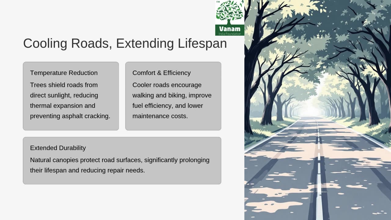 How Roadside Trees Protect Our Roads and Lives