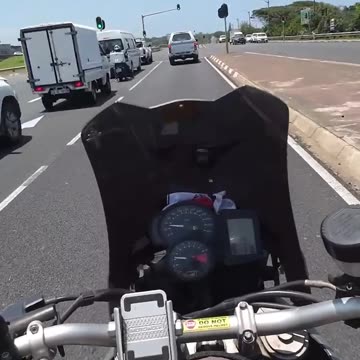 Athlone #kzn Toti #dogs