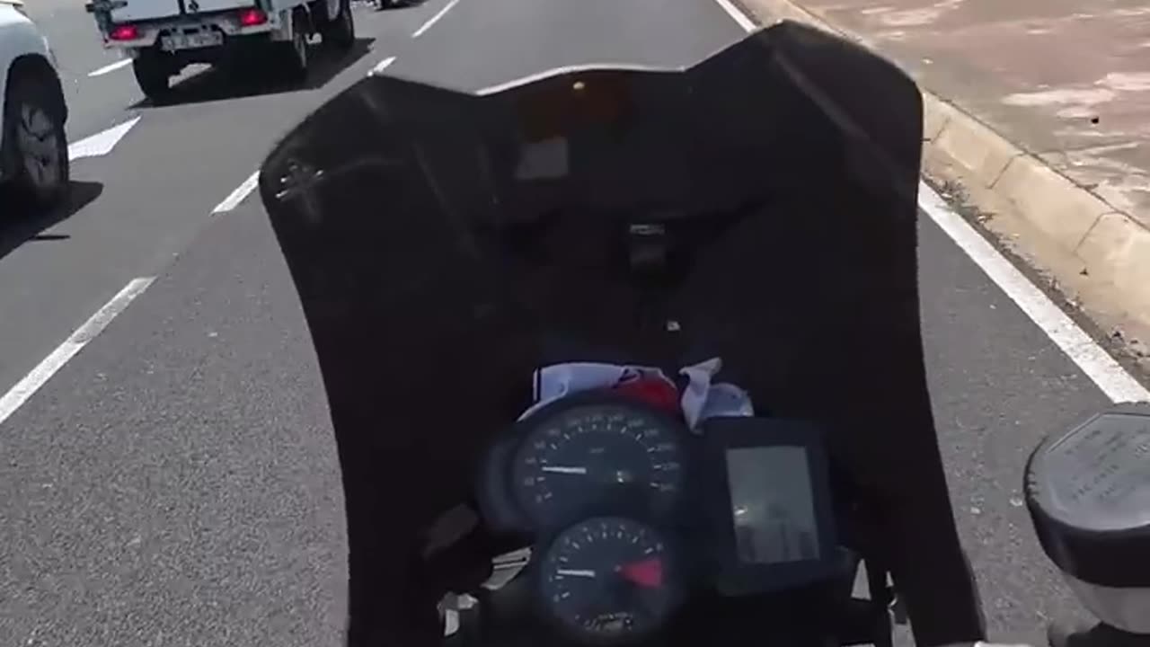 Athlone #kzn Toti #dogs