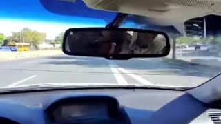 Zero Regard For Life